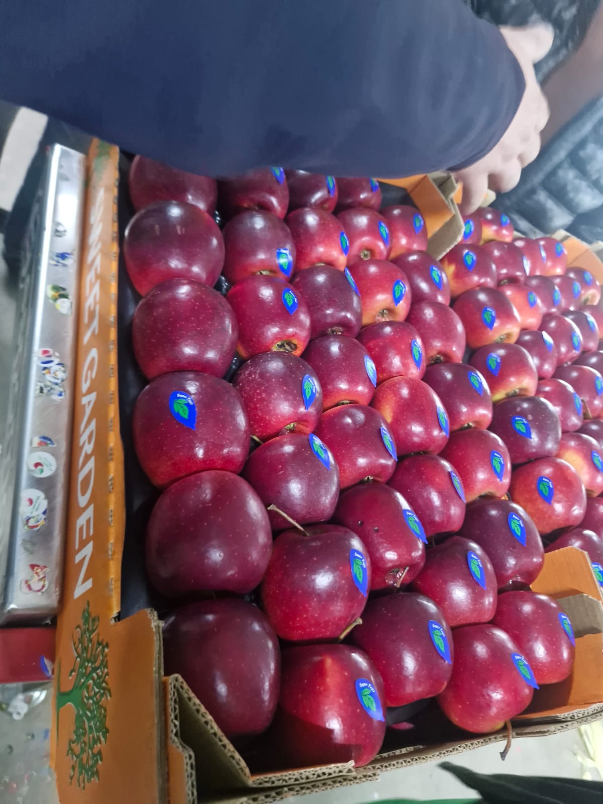 Kırmızı Elma 2